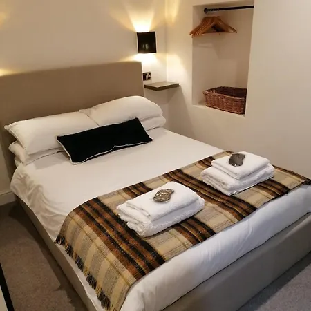 The Burrow